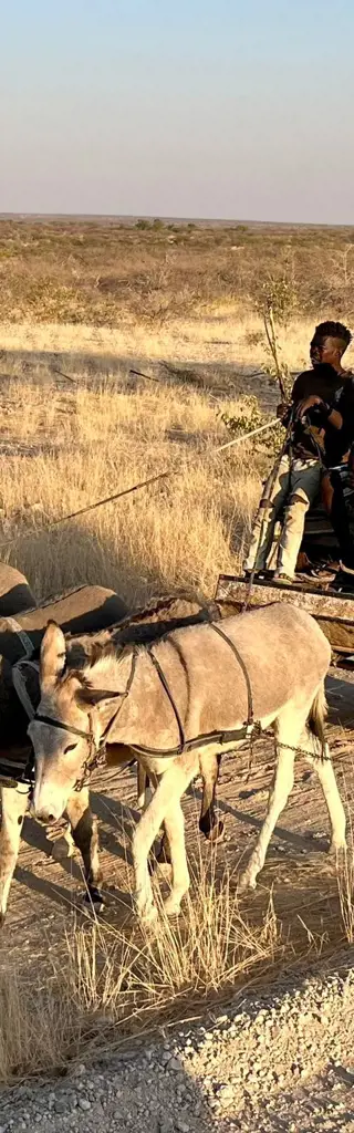 Erlebnisreiches Namibia – kurz und bündig